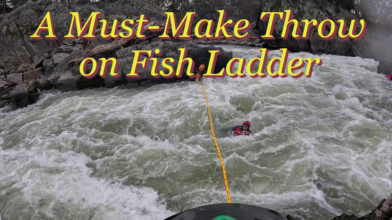 A Must-Make Throw, Rescue on Fish Ladder, 4.15, 2024-03-28 - YouTube