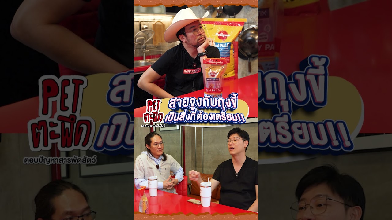 "สายจูง"กับ"ถุงขี้"เป็นสิ่งที่ต้องเตรียม!!