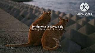 Stephen Sanchez - Hold Her While You Can (tradução/letra)