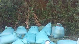 22112025..Hnub No Tuaj Mus Saib Txiv Toov Laj Nawb