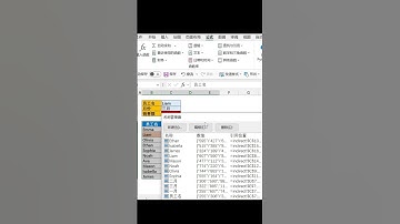 無需查詢函數 快速多條件查詢 indirect 函數技巧 2維查詢 excel 多條件查詢 excel 資料查詢 #shorts #excel #excel 教学 #excel 基础 #excel入门