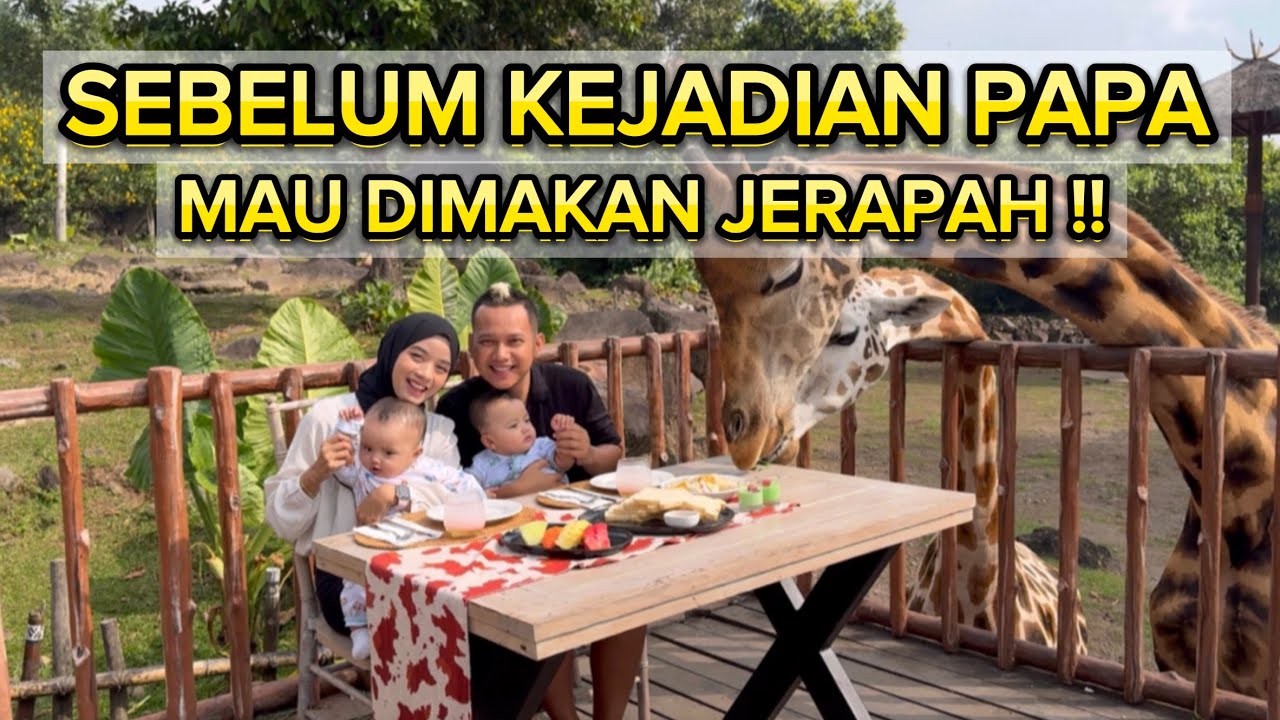 PAPA MAU DIMAKAN JERAPAH ??