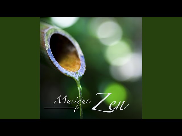 Musique zen spa: Détente et méditation, Detente spa musique collection -  Qobuz