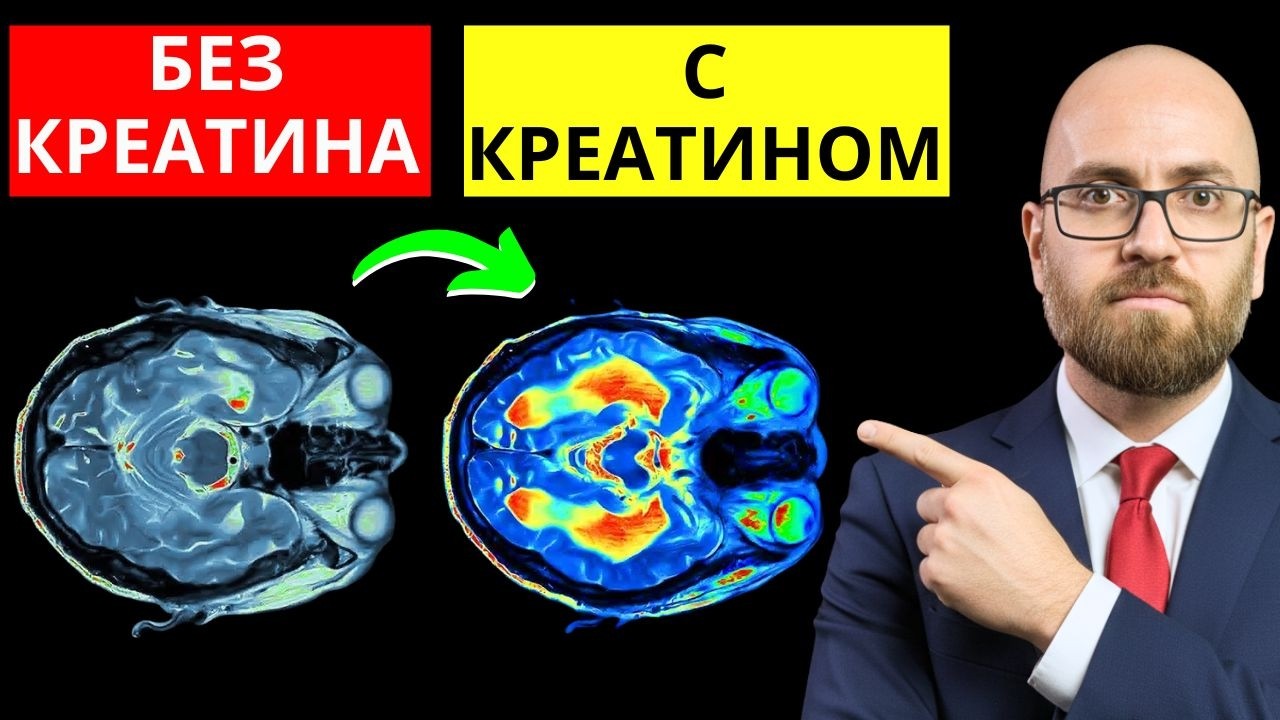 КРЕАТИН: Реальные Эффекты для Мозга, Почек и Мышечной Массы