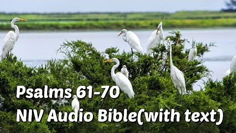 Psalms 61-70: NIV Audio Bible(with text)