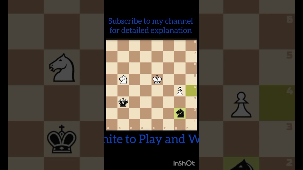 Chess Knight Pawn End Game 