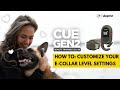 3 Dog Training Level Settings | How to set custom levels on Dogtra CUE GEN2