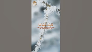 قرآن كريم | ما تيسر من سورة يونس  بصوت غاية في الجمال بصوت القارئ عبد الرحمن مسعد