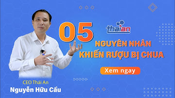 5 Nguyên Nhân Khiến Rượu Bị Chua l Thiết Bị Thái An