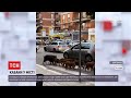 Новини світу: у центрі Рима періодично з'являється стадо диких кабанів