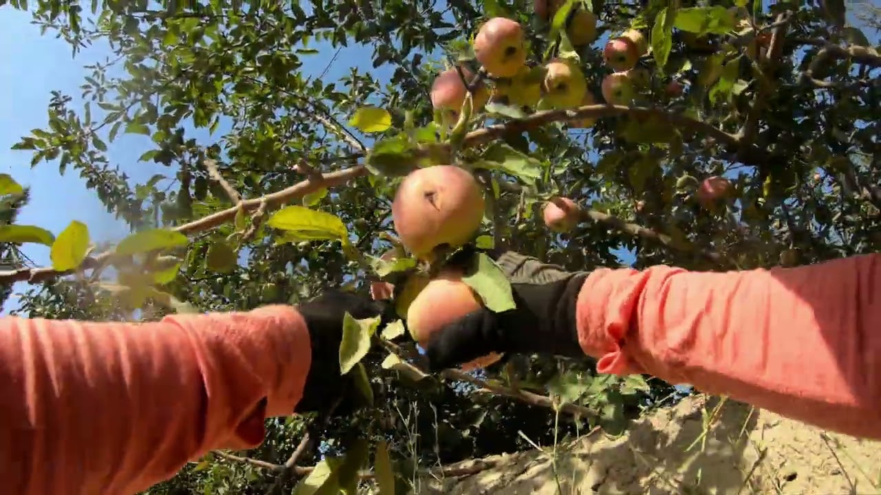 Silk Road Mountain Race 2025