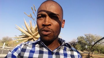 FIBO CODE REVIEW- Honest Opinion