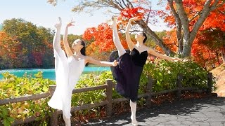 Download Lagu 【秋日裏磐梯】紅葉楓林中,芭蕾女伶舞姿曼妙 Download Lagu 【秋日裏磐梯】紅葉楓林中,芭蕾女伶舞姿曼妙