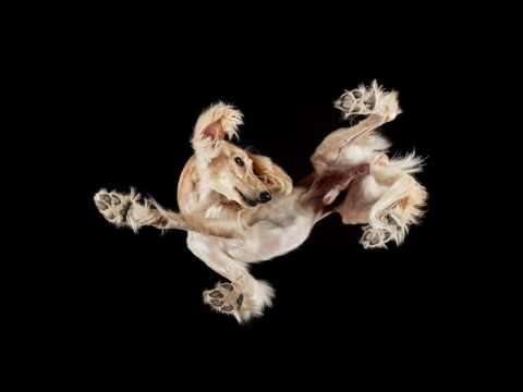 YouTube video fTo4glrhJEU thumbnail