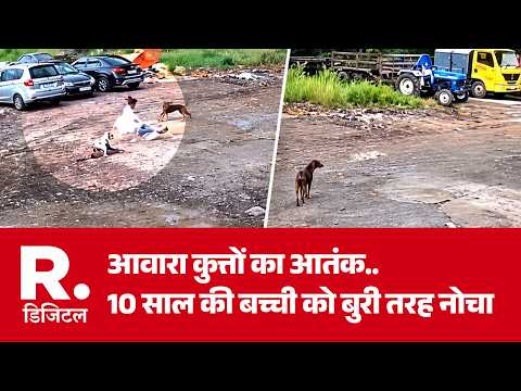 Chhattisgarh News: आवारा कुत्तों का आतंक.. 10 साल की बच्ची को बुरी तरह नोचा | Dog | Animal Attack