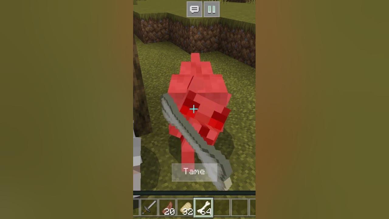taming-a-dog-in-minecraft-gone-wrong-shorts-youtube