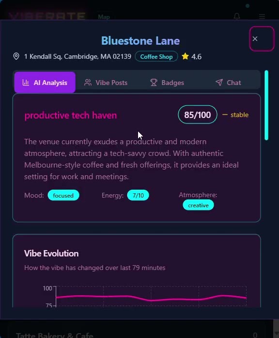 VibeRate Prototype Demo - YouTube