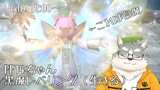【FF14】私の愛した黒魔が強化されるって聞きました【生きる配信】