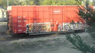 FREIGHT TRAIN GRAFFITI VIDEO # 829