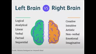 The 10% Brain Myth