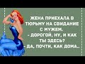 Жена приехала в тюрьму к мужу. Подборка веселых анекдотов! Приколы!