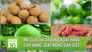 Mở cửa thị trường xuất khẩu cho hàng loạt nông sản Việt | VTC16