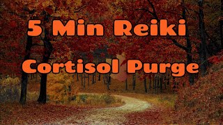 Reiki ✨For Cortisol Purge 🤢 Release Stress, Anxiety & Tension 😊 Deep Nervous System Reset✋✨🤚