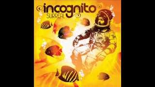 Incognito &quot;The Way You Love&quot; Album Surreal