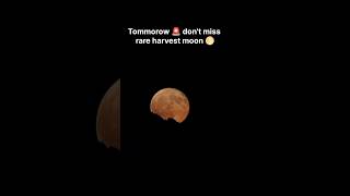 Are you waiting to see the harvest moon👀🌕