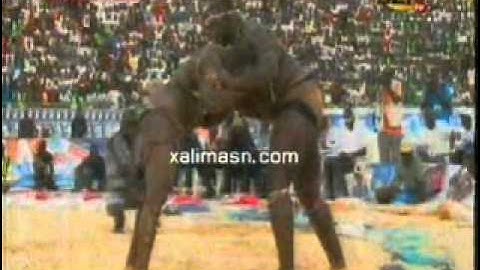 revivez en integralite le combat royal bombardier vs modou lo
