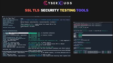 SSL/TLS Security Testing | Testssl SSL Scanning Tool | Sslcan SSL/TLS Security Testing Tool | Hindi