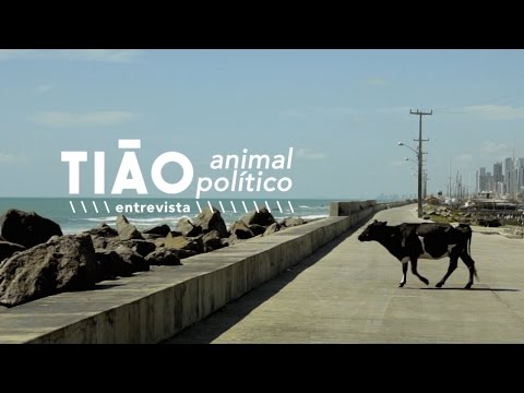 Entrevista || Tião (Animal Político) || Janela 2016