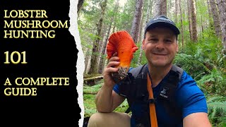 How To Find Lobster Mushrooms - Complete Beginner Guide