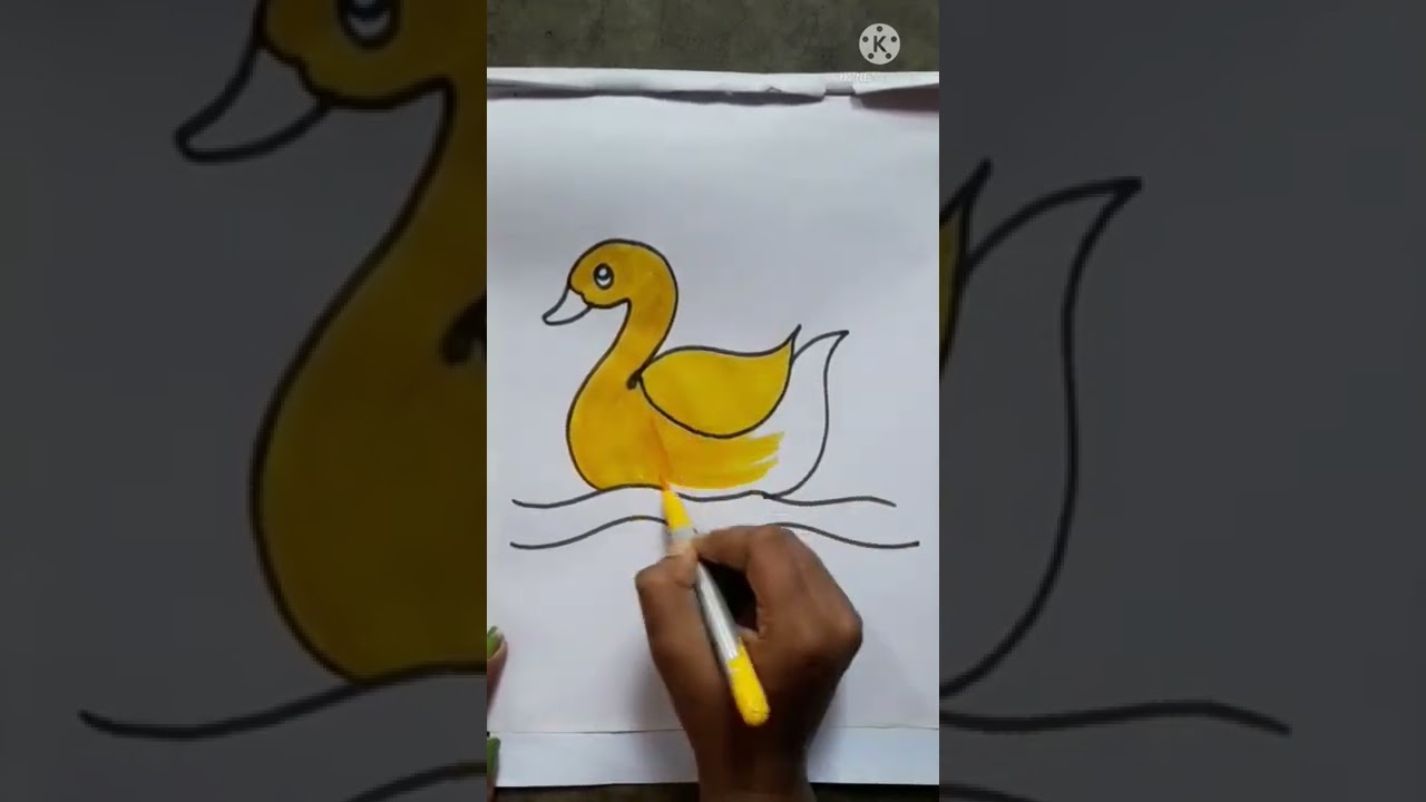 Duck colour