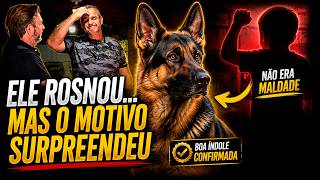 PASTOR ALEMÃO — FRITZ — VOCÊ SABERIA INTERPRETAR ESSE COMPORTAMENTO?