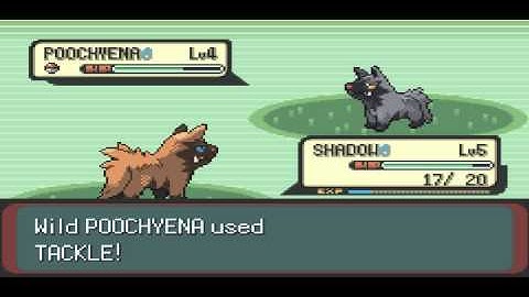 LEGIT Shiny Poochyena on Emerald!