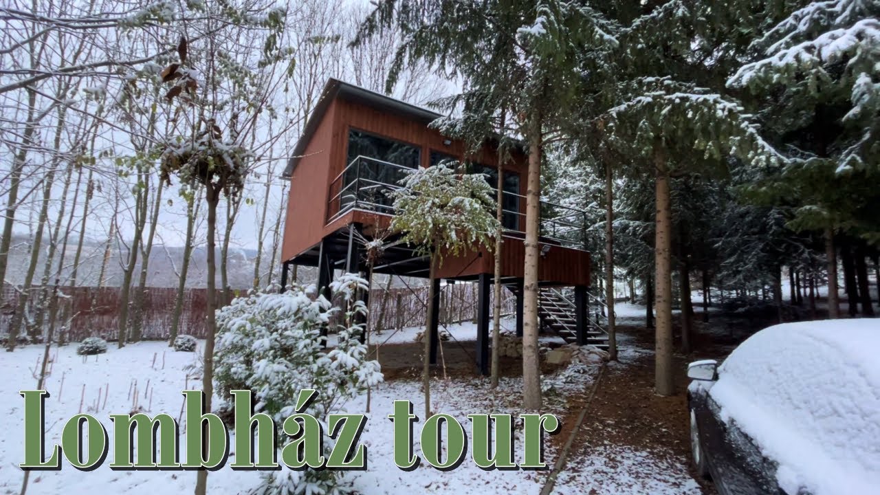 [Magyar ASMR] Lombház Tour🌲 (lofi)