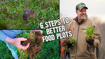 6 Steps to Better Food Plots (695)