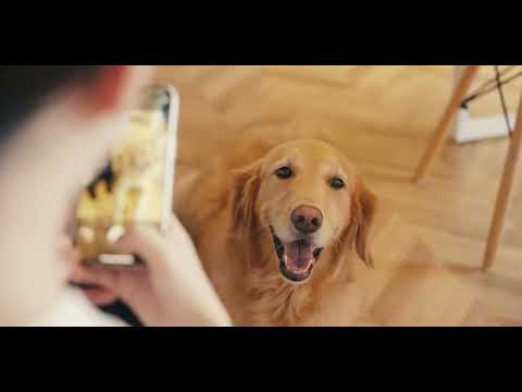 民泊ezora プロモーション動画