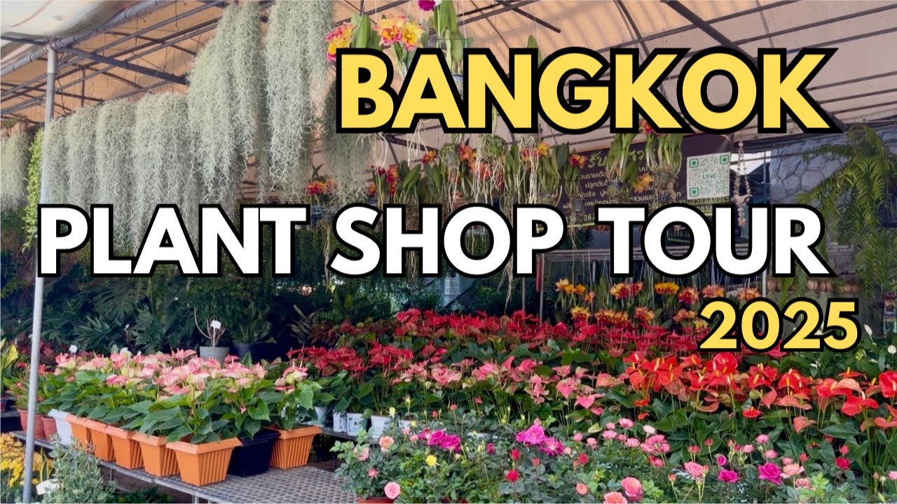 🇹🇭 Bangkok Plant Shop Tour 2025 | Biggest Plant Market In Bangkok | Thailand Chatuchak Market
