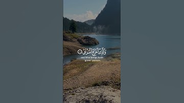 سبح اسم ربك الأعلى  الذي خلق فسوى  والذي قدر فهدى | سورة الأعلى | القارئ عبدالرحمن مسعد #quran