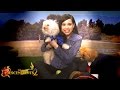 Sofia Carson Plays with Puppies! | Dogscendants 🐶| Descendants 2