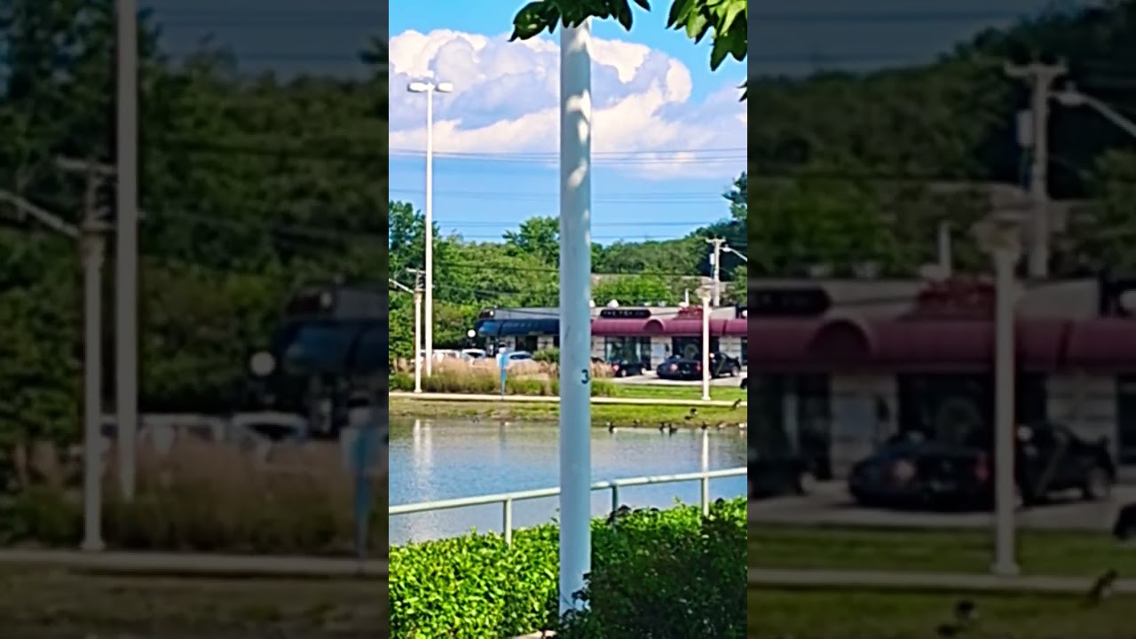 Relaxing Geese water 