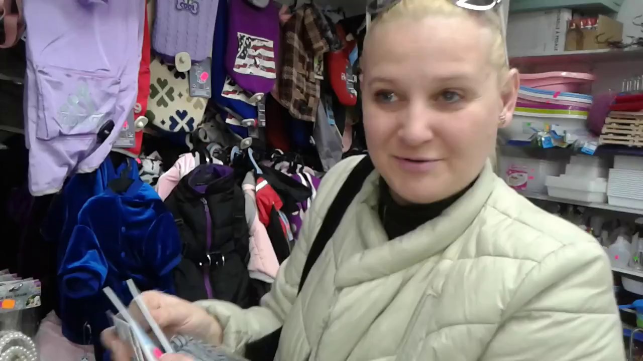 Французский бульдог - покупки для собаки