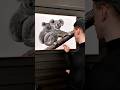 Drawing ‘Hitchhiker’ - Double Koala Portrait #art #drawing #koala