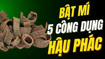5 Công dụng tuyệt vời của Hậu Phác | Thảo Dược THAPHACO