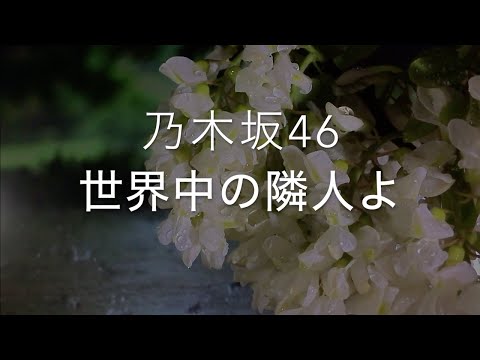世界中の隣人よ/乃木坂46　歌ってみた