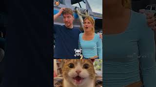MrBeast lost his girl💀 #shorts  #mrbeast #cat  #memes  #trending  #funny  #funnyshorts