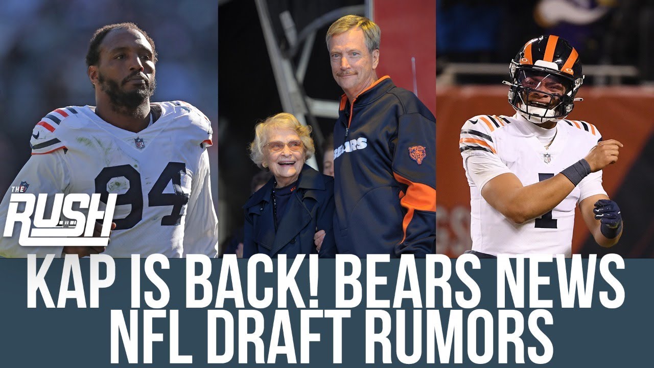 bears draft news