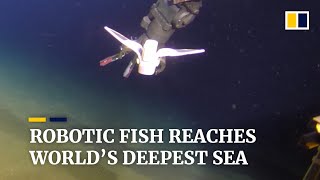 Self-powered soft robot developed by Chinese scientists reaches world’s deepest point